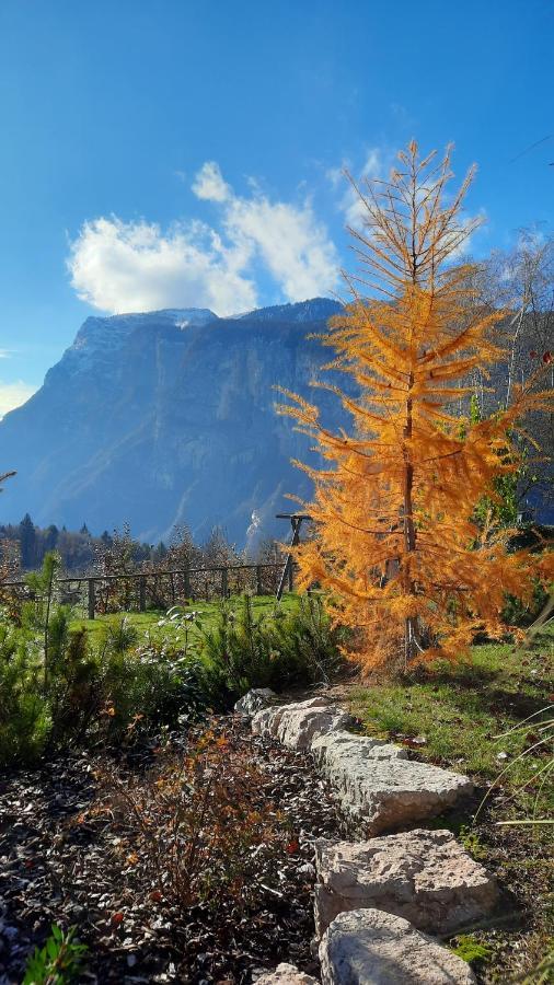 Il Giardino Di Anna - Appartamento 1 Fai della Paganella Eksteriør billede